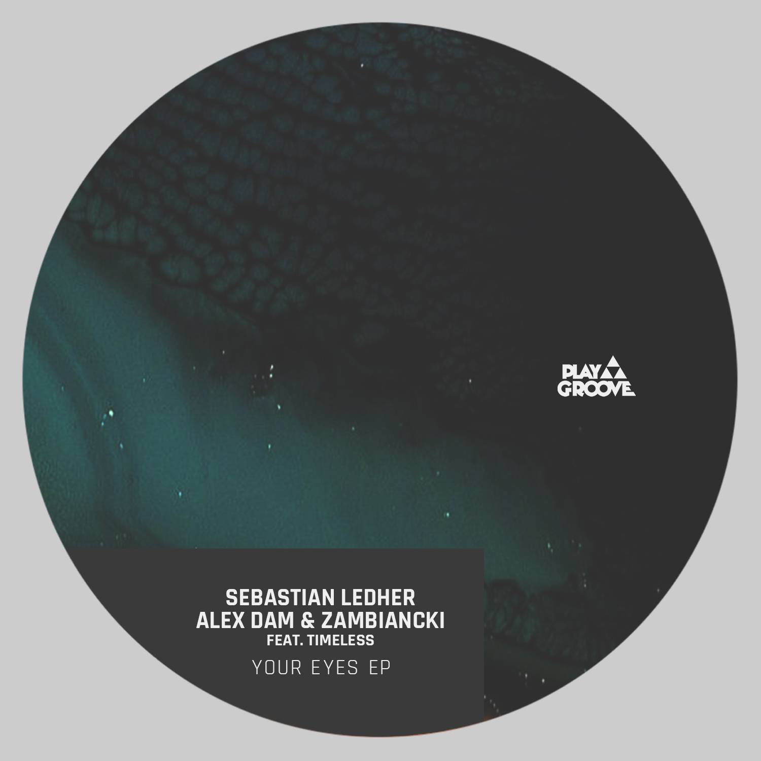 SEBASTIAN LEDHER, ALEX DAM & ZAMBIANCKI presentan YOUR EYES EP [PGR198]